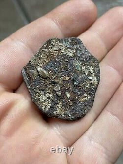 1715 Fleet Shipwreck Silver Mexico Cob Coin 8 Reales UNCLEANED